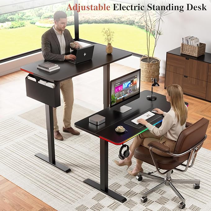 Electric Standing Desk, 48x24" Adjustable Height Computer Desk, with 3 Memory Presets, RGB Lights, Overheating&Overvoltage Protection, for Home Work, Study and Gaming, Small Spaces, Modern Furniture