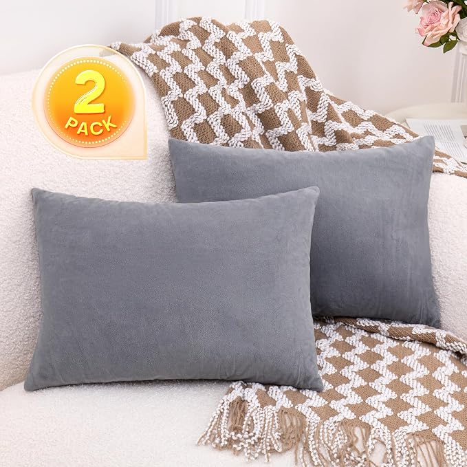 1 MIDDLE ONE 2 Pack Small Pillow, 16 X 12 Inches, Memory Foam Mini Pillow for Travel, Camping, Sleeping, Nap and Neck, Knee, Lumbar Support, Tiny Cushion for Pet, Dogs (Grey)