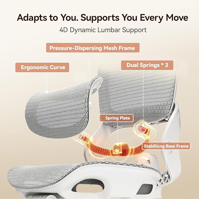SIHOO B100 Office Chair, Comfy Ergonomic Office Chair, High Back Computer Chair with Adaptive Lumbar Support & Wide Headrest, Flip-up Armrests, Swivel Desk Chair for Long Hours, Grey
