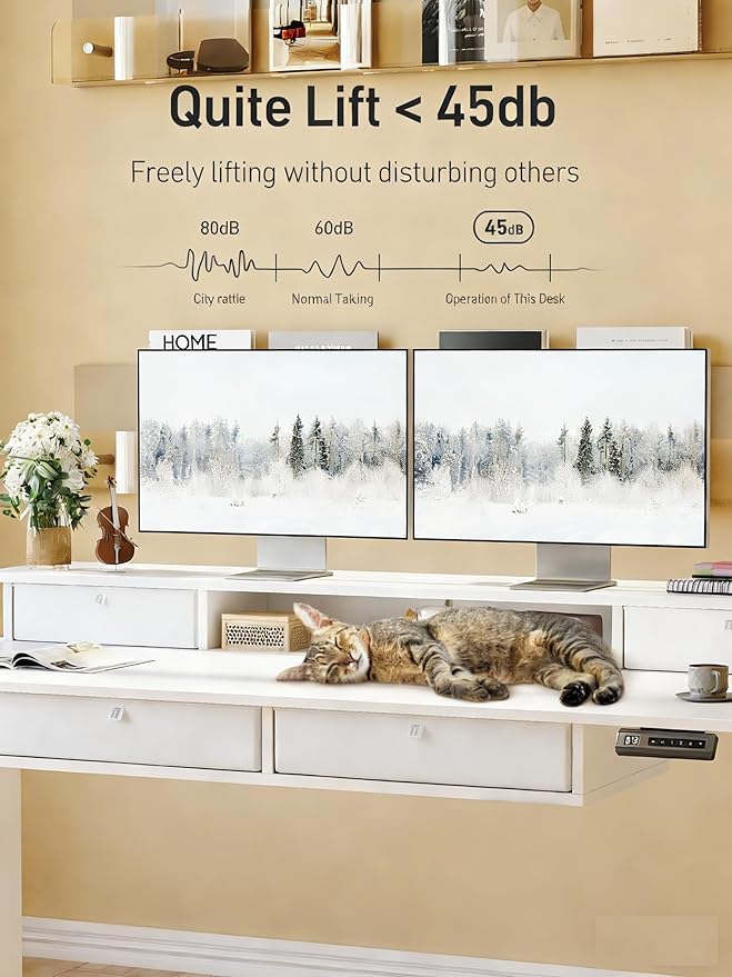 CubiCubi 48" x 24" Standing Desk with Drawers, Electric Height Adjustable Workstation, Computer Sit Stand Up Office Table with Large Storage Shelf, 4 Drawers and 2 Hooks, Warm White
