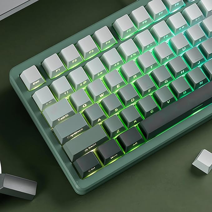 dagaladoo Double Shot PBT keycaps Set,Shine Through Keyboard keycaps Gradient 60% 75% 100%,OEM Profile Keyboard caps,Side Printed Key caps for Mechanical Gaming Keyboards,Seaweed Green