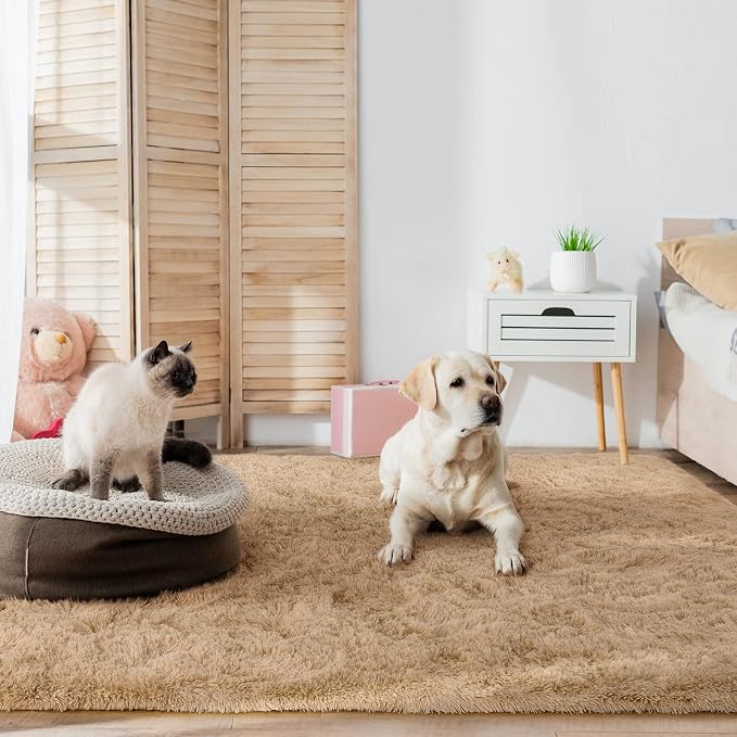 HOMORE Light Tan Rugs for Living Room, Shag Rug 5x7 Fluffy Area Rug for Bedroom, Modern Non Slip Carpet for Liivng Room, Cute Rugs and Carpets for Kids Nursery Home Dorm Decor