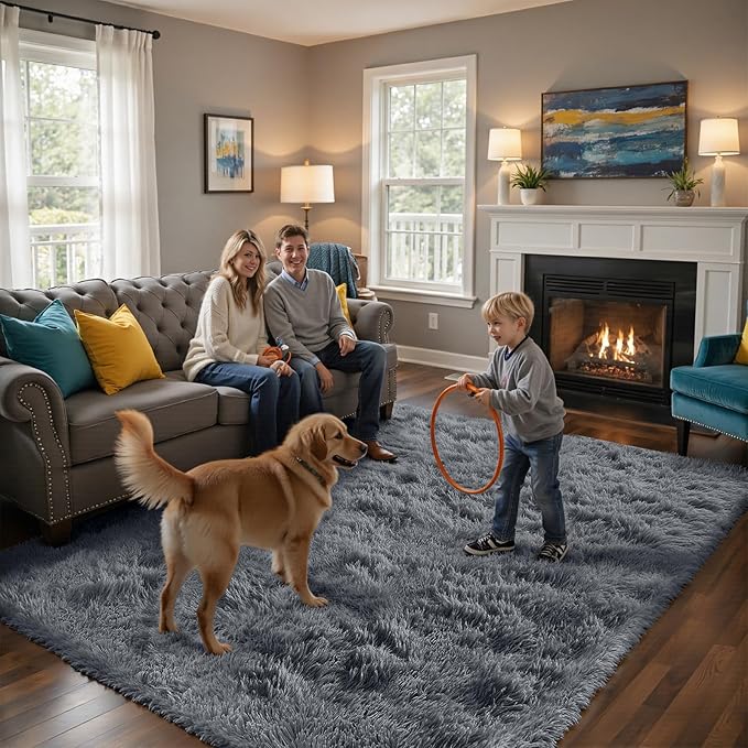 Fluffy Rug Shag Area Rug, Grey 3x5 Area Rugs for Bedroom, Small Bedside Rug, Soft Fluffy Shag Entryway Throw Rugs for Living Room Bedroom Room Home Decor