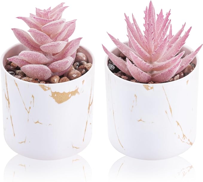 Der Rose Set of 2 Succulents Plants Artificial Mini Fake Succulents Plants for Office Desk Accessories for Women Pink Home Vanity Decor
