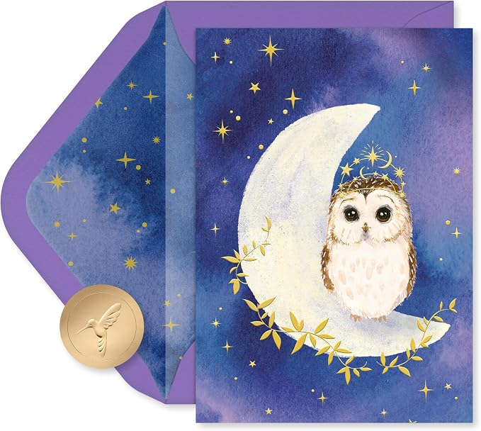Papyrus 12-Count All Occasion Blank Stationery Notes, Celestial Owl Watercolor