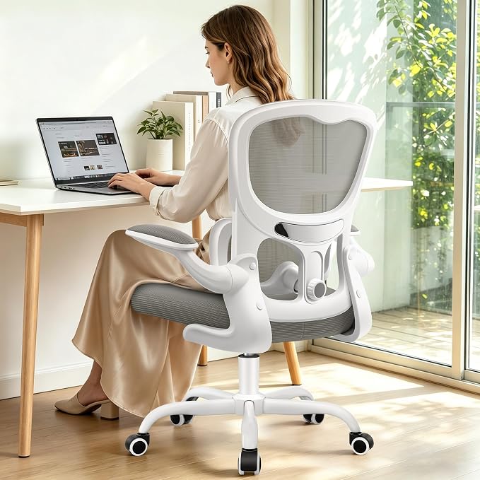 ALLGOD Ergonomic Office Chair, Breathable Mesh Ergonomic Desk Chair with Adjustable Lumbar Support, Flip-up Armrests, Computer Chairs Comfortable for Home, Office, Work, 300lbs, LightGray, Upgrade