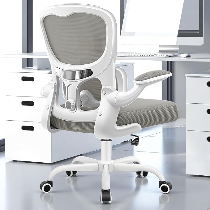 ALLGOD Ergonomic Office Chair, Breathable Mesh Ergonomic Desk Chair with Adjustable Lumbar Support, Flip-up Armrests, Computer Chairs Comfortable for Home, Office, Work, 300lbs, LightGray, Upgrade
