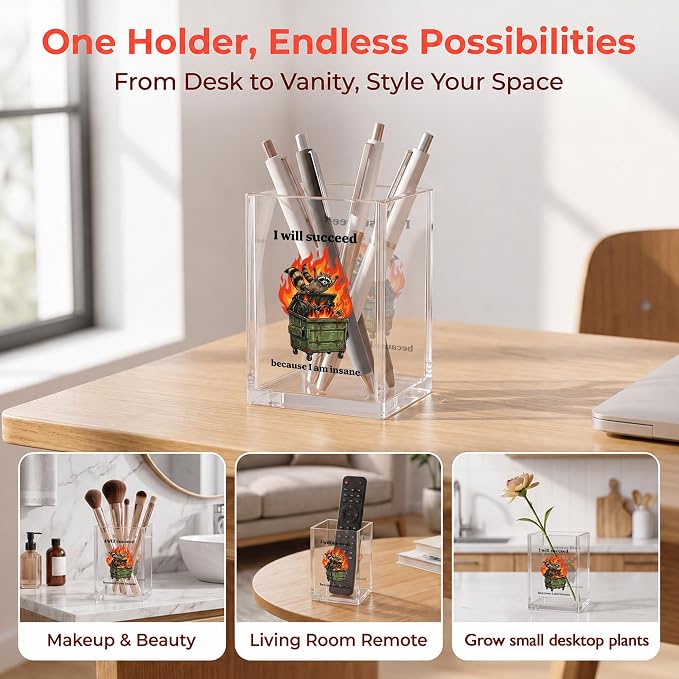 Funny Raccoon Dumpster Fire Office Acrylic Cosmetic Pen Pencil Holder Cup, I Will Succeed Because I Am Insane Humor Pencil Organizer, Unique Desk Accessories, Sarcastic Gifts for Women Men（A45）