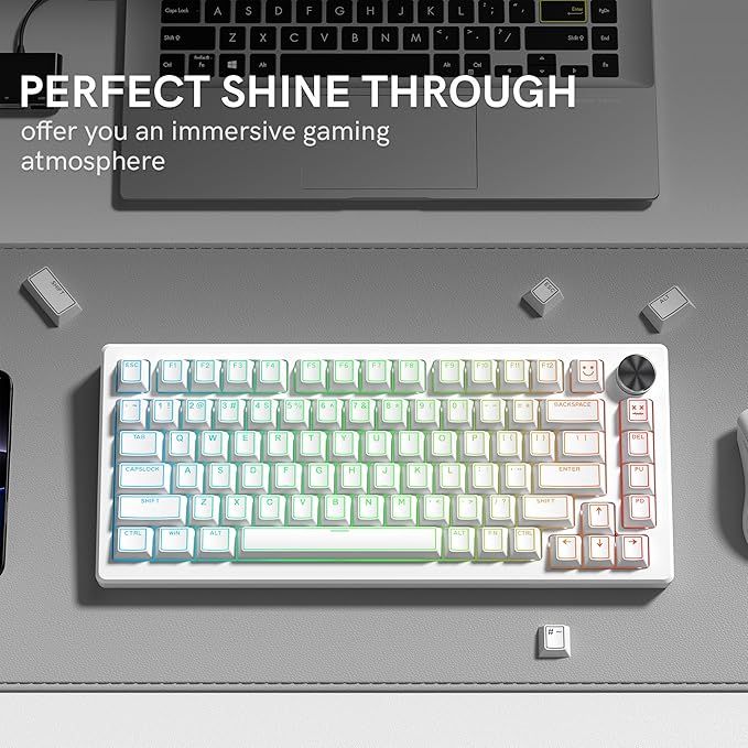Womier PBT Keycaps Set 130 Keys, Custom White Japanese Keyboard Doubleshot Dye Sub Side Print Shine Through Keycaps 60 65 75 100 Percent, Cherry Profile (White 4)