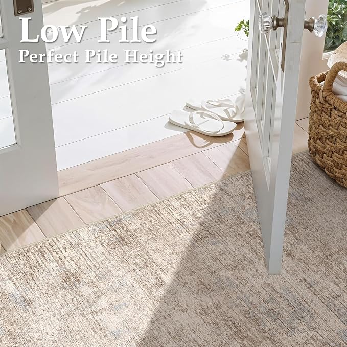 Washable Entryway 2x3 Area Rug: Small Abstract Kitchen Rugs for Indoor Bathroom Entrance Non Slip Door Mat with Rubber Backing Soft Carpet for Bedroom Pet Feeding Area (Ivory Beige Distressed,2x3)