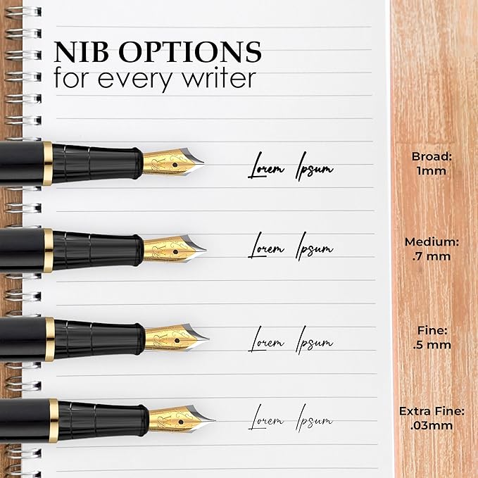Wordsworth & Black Fountain Pen Set, 18K Gilded Extra Fine Nib, Includes 24 Pack Ink Cartridges, Ink Refill Converter & Gift Box, Gold Finish, Calligraphy, [Silver Gold], Perfect for Men & Women
