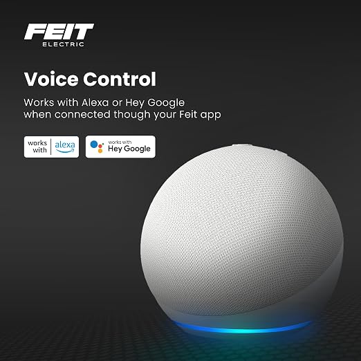 Feit Electric Smart Wi-Fi Plug, Works with Alexa and Google Home, No hub Required, 2.4 Ghz Network Only, Remote Control from Anywhere 15 Amp, Indoor Outlet for Home Appliances