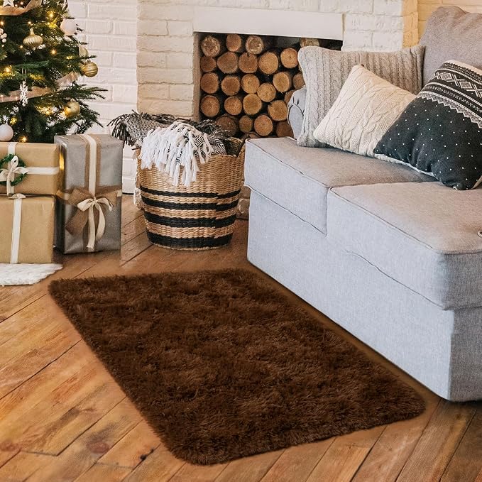 HOMORE Small Rugs for Bedroom 2x3 Feet Brown Rug for Bedroom Bedside Soft Fluffy Area Rugs for Desk Indoor Entrance Door Mat, Small Runner Rugs and Carpets for Dorm Nursery