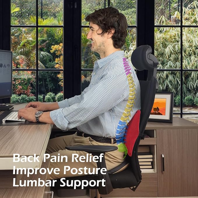 2Pack Inflatable Lumbar Support Pillow for Office Chair and Car Seat, Back Support Cushion with Air Pump for Reducing Lower Back Pain