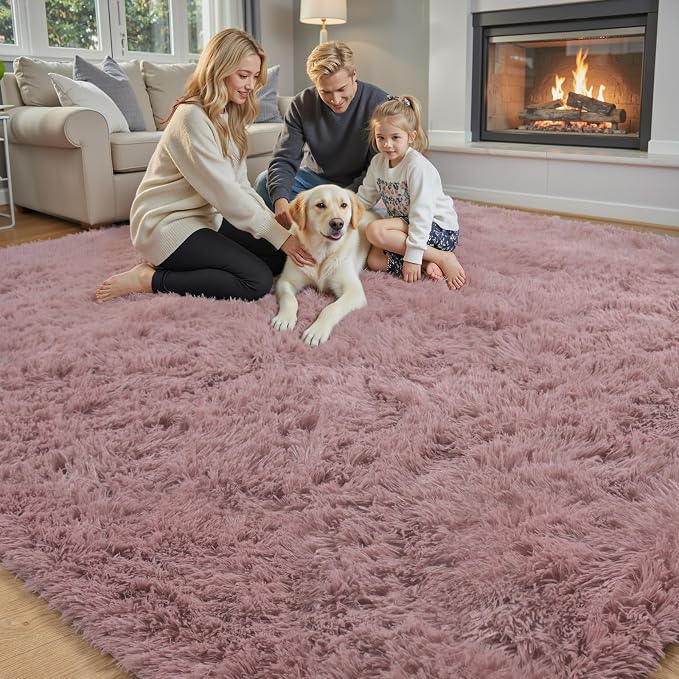 Rugs for Living Room 5x8, Alfombras para Salas Shag Large Plush Soft Area Rug, Shaggy Carpets for Bedroom,Boys Girls Home Decor Aesthetic(Blush, 5 x 8)