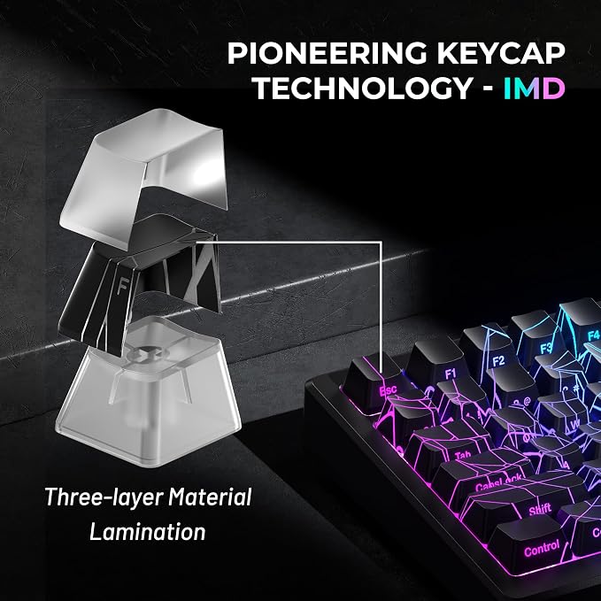 HITIME x XVX Spider Web Keycaps 60 75 100 Percent - Shine Through Keycaps w/IMD Tech, for Mechanical Keyboards, Full 118 Key Set, OEM Profile, Lines Backlit, Side Printed - Black