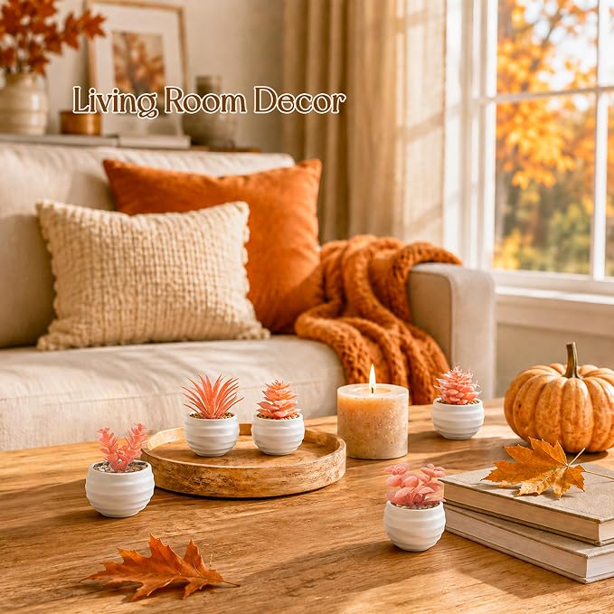 Der Rose Set of 6 Fall Succulents Plants Artificial Small Fake Plants for Autumn Bedroom Living Room Office Shelf Bathroom Decor