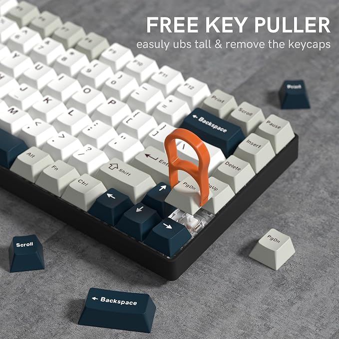 PBT Keycaps Set, Doubleshot 137 Key Caps,Cherry Profile Custom Keycap for 61/64/68/84/87/100/104/108 Mechanical Keyboard, Compatiability for 60 65 75 100 Percent Keyboads (White Grey Blue)