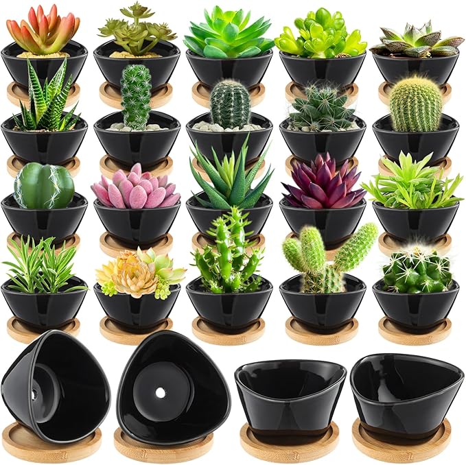Domensi 24 Pack Succulent Planter Pots 3 Inch Small Plant Pots Mini Ceramic Succulent Planter Holder with Drainage Holes and Bamboo Saucers(Black)