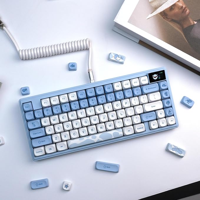 OHY XVX Dolphin Theme PBT Dye-Sub Keycaps Set, 145-Key Blue Custom Keycaps for 75% Mechanical Keyboards (Compatible with Cherry MX/Gateron Switches & Mac/Windows PC)