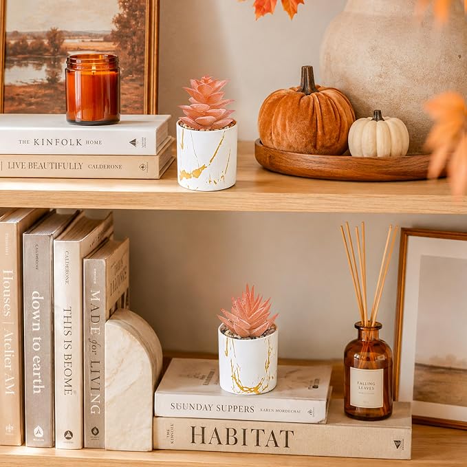 Der Rose Set of 2 Fall Artificial Succulent Plants, Mini Fake Succulents, Fall Decorations for Office Desk Bathroom Shelf Bedroom, Thanksgiving Decor