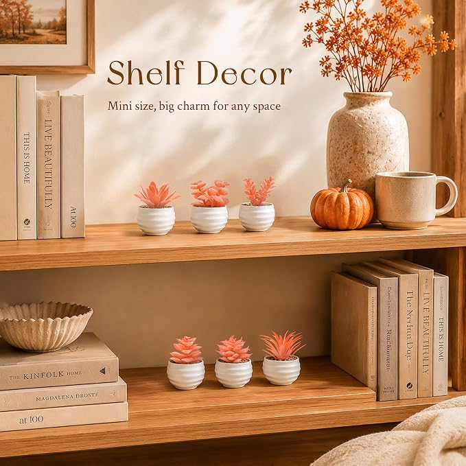 Der Rose Set of 6 Fall Succulents Plants Artificial Small Fake Plants for Autumn Bedroom Living Room Office Shelf Bathroom Decor