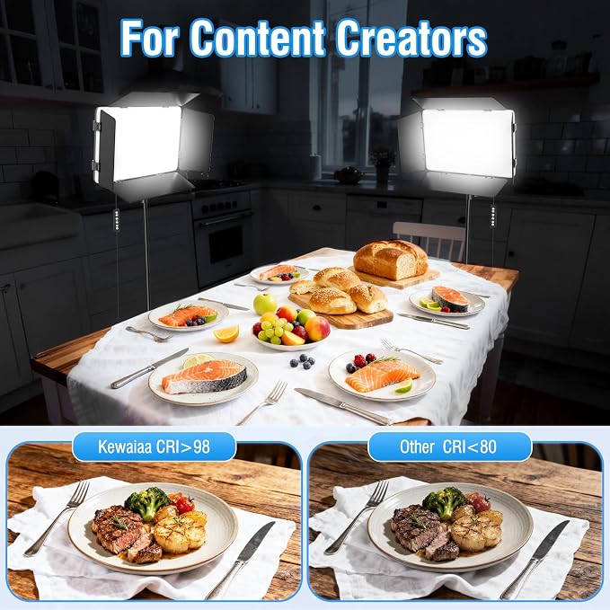 2 Pack LED Video Light with Barndoor, 20W Bi-Color LED Studio Lights Panel, 2500K-8500K Dimmable Photography Lighting Kit for Video Recording Shooting Live Streaming Podcast