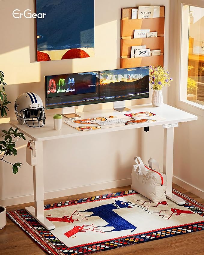 ErGear Height Adjustable Electric Standing Desk, 55 x 28 Inches Sit Stand up Desk, Memory Computer Home Office Desk, White