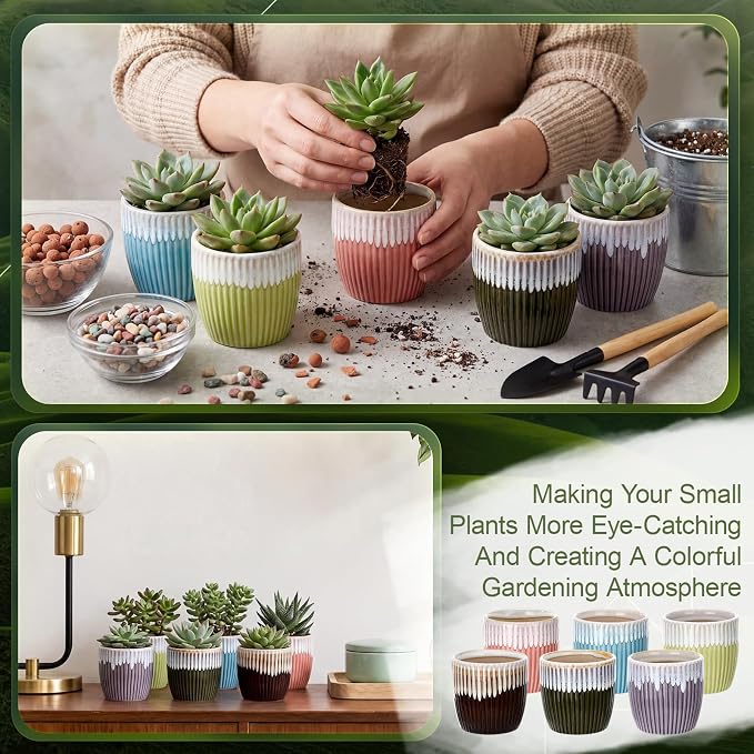 24 Pcs 2.7 Inch Small Succulent Plant Ceramic Pot with Drainage Hole, Cute Mini Succulent Pots for Plants, Succulents, Cactus, DIY Easter Spring Craft Activity, 6 Colors(Color Blocking)