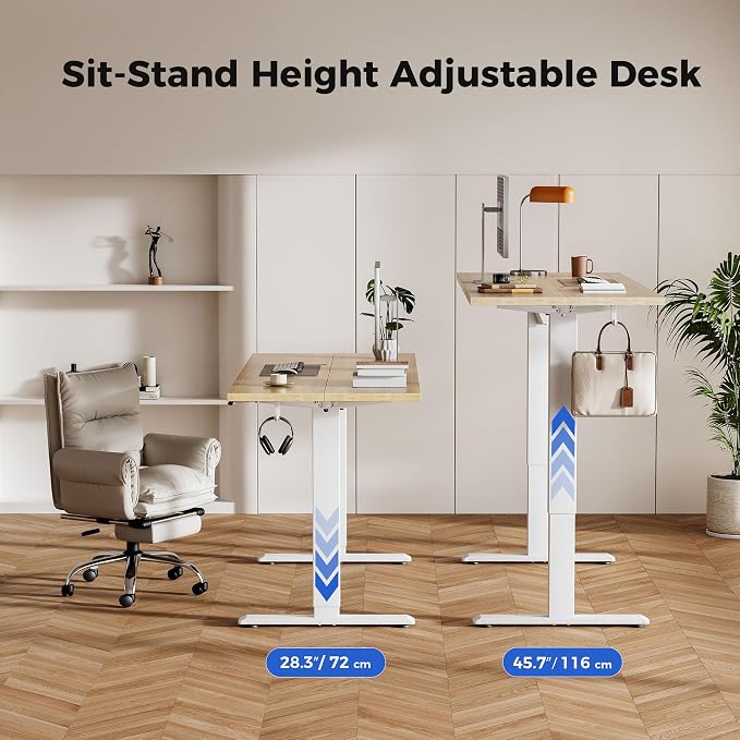 Agilestic Electric Standing Desk, 48 x 24 Inches Height Adjustable Desk, Sit Stand up for Work Office Home, Ergonomic Rising Computer Table with Memory Preset, Maple
