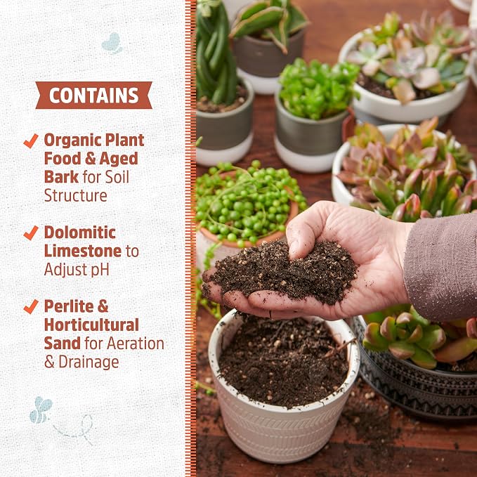 Back to the Roots 100% Organic Succulent & Cacti Mix (6 Quart) | Made in the USA | Premium Nutrition for Indoor and Outdoor Plants