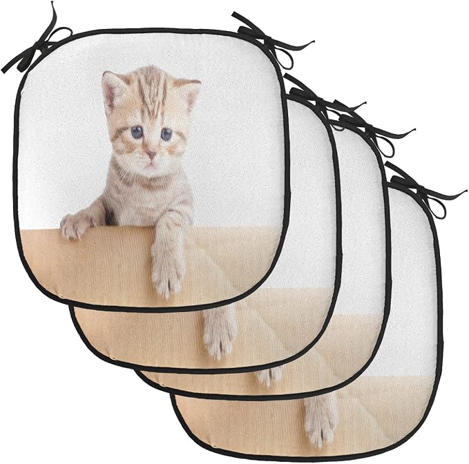 Lunarable Cat Chair Cushion Pads Set of 4, British Cat in Cardboard Box Little Striped Fur Looking at Camera Picture, Anti-Slip Seat Padding for Kitchen & Patio, 16"x16", Sand Brown White