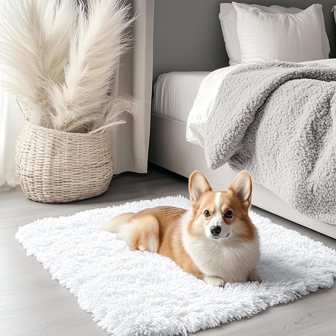 OLANLY 2x3 Machine Washable Small Bedside Rug, Soft Fluffy Shaggy Entryway Throw Rugs for Bedroom, Living Room, Indoor Floor Carpet for Kids Girls and Boys, Nursery Rooms, Home Decor Aesthetic, White