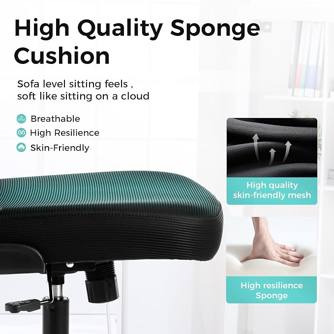 ALPHA HOME Ergonomic Mesh Office Chair, High Back, Black | Executive Computer Chair with Armrests, Sturdy Desk Chair with Height Adjustable Lumbar Support, Rolling Swivel Task Chair