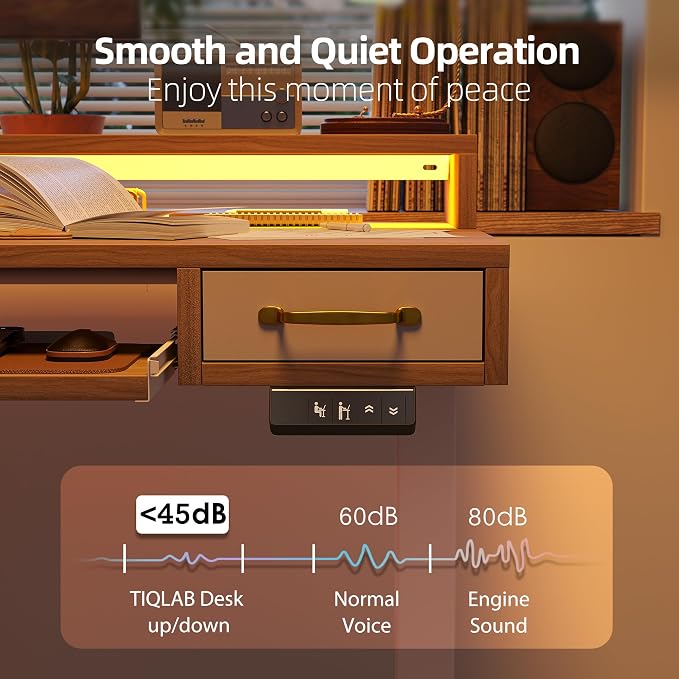 TIQLAB Standing Desk with Two Drawers, Stand Up Standing Desk Adjustable Height, Electric Sit Stand Table with Storage Shelf and Splice Board, with LED Light, 55 * 28 inch, Light Walnut