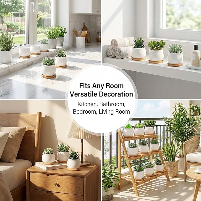 SHECIPIN 24 Pcs 2.5 Inch Small Succulent Pots with Drainage & Bamboo Trays - Assorted Small Succulent Planters Bulk for Home Office Garden Decor
