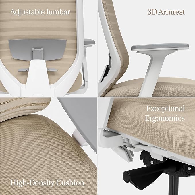 Branch Ergonomic Chair, Versatile Desk Chair with Adjustable Lumbar Support | Breathable Mesh Backrest and Smooth Wheels, Experience Optimal Comfort and Support, Poppy