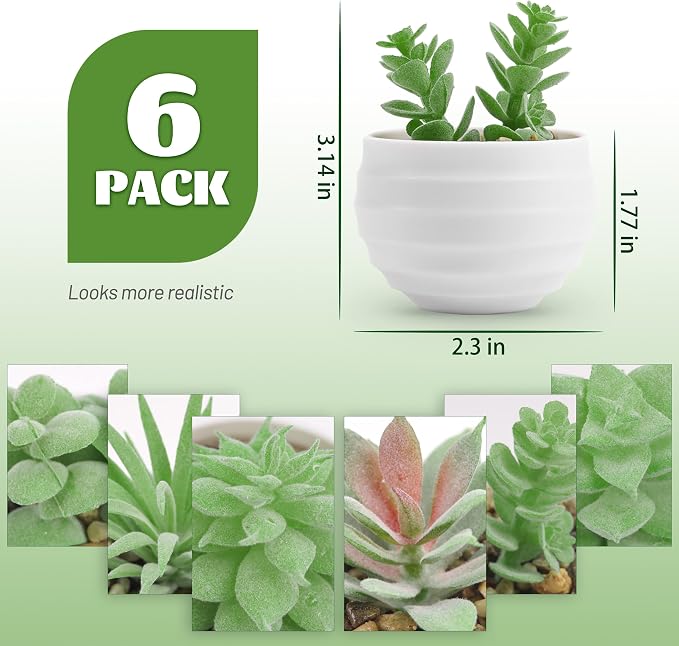 Der Rose Set of 6 Succulents Plants Artificial in Pots Small Fake Plants for Bedroom Aesthetic Living Room Shelf Bathroom Decor Office Desk Accessories