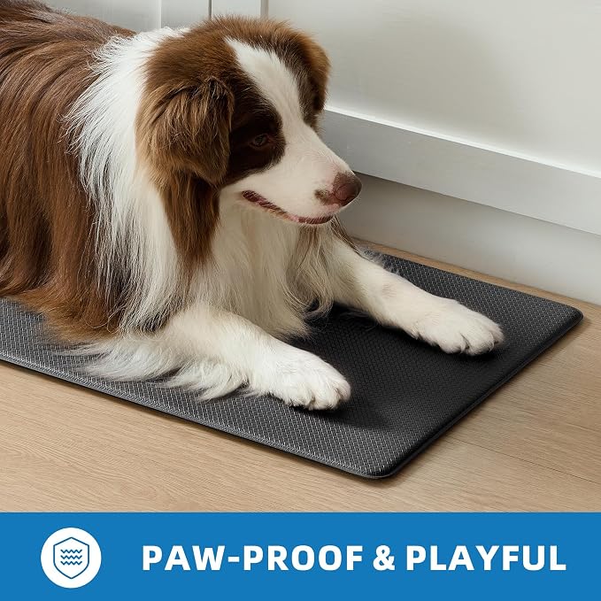 Kitchen Mats for Floor, [2PCS] Anti-Fatigue Kitchen Rugs, Black | Cushioned Comfort,Non-Slip Backing,Waterproof Surface,Soft Underfoot,Easy Clean,Kitchen Sink,Laundry Room,Standing Desk