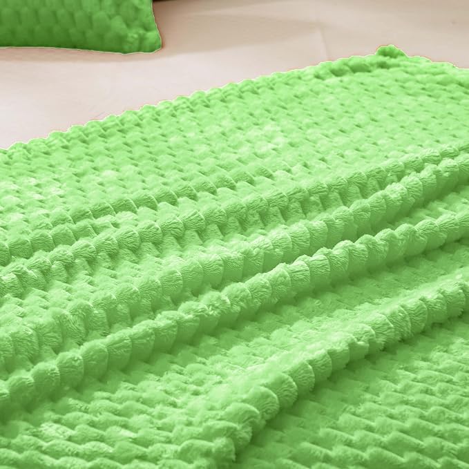 Vessia Flannel Fleece Twin Size Blanket(60x80 inch), 3D Jacquard Light Green Fuzzy and Warm Blanket for Couch, Sofa, 300GSM Super Soft Touch Cozy Lightweight Bed Decor for All-Season