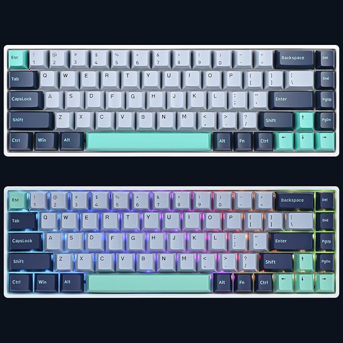 GTSP 171-Keys Cherry Profile PBT Key Caps for Mechanical Keyboards, Double Shot Custom Keycap for US Layout 60% 65% 100% MX Switches (Hammerhead Shark)