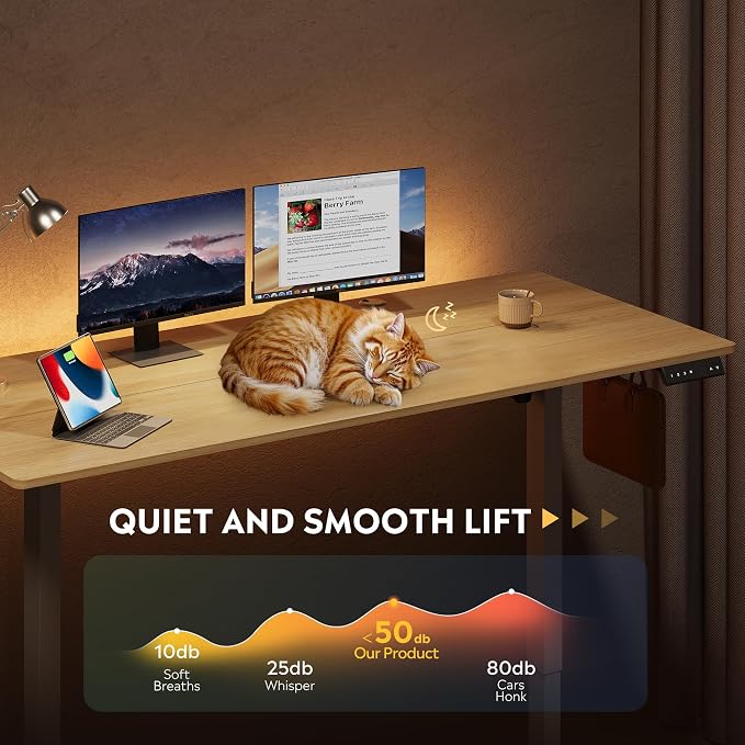 DEVAISE 63 Inch Standing Desk with Split Top, Ergonomic Computer Desk, Maple