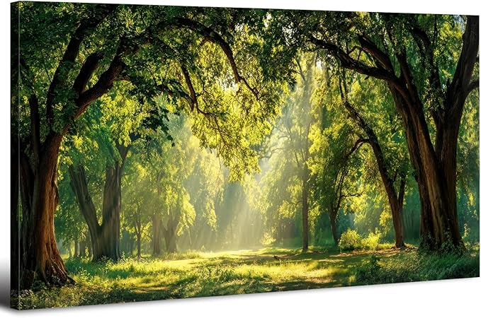 AIYISU Green Forest Wall Art Panoramic Woodland Landscape Canvas Pictures Nature Wall Decor Sunrise Sunlight Trees Scenery Poster Living Room Bedroom Office Hallway Cabin Lodge Home Decoration 30x60