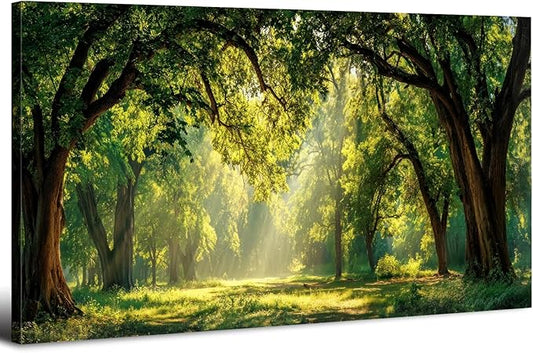 AIYISU Green Forest Wall Art Panoramic Woodland Landscape Canvas Pictures Nature Wall Decor Sunrise Sunlight Trees Scenery Poster Living Room Bedroom Office Hallway Cabin Lodge Home Decoration 30x60