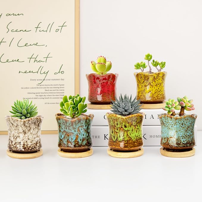 ARTKETTY Succulent Pots with Drainage Tray, Cute Ceramic Pots for Plants Set of 6