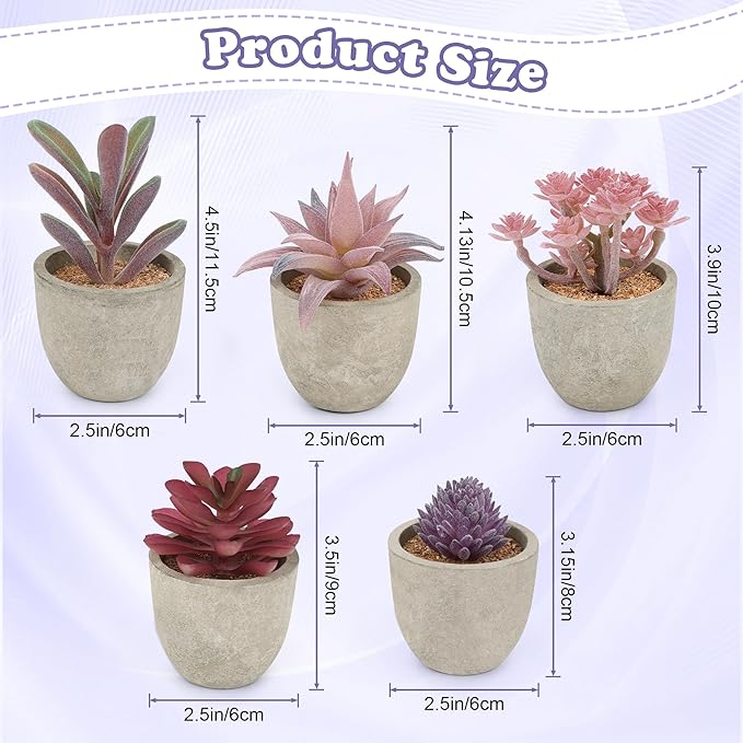 Coitak Artificial Succulent Plants Potted, Assorted Decorative Faux Succulent Potted Fake Cactus Cacti Plants with Pots, Set of 5 (Purple)