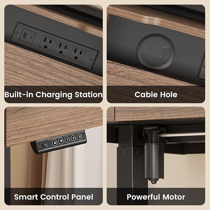 ModernMate Electric Standing Desk with Drawers, Hidden Cable Management | 48 x 24 Inches Height Adjustable Desk, Stand Up Table with Storage for Home Office, Black Walnut