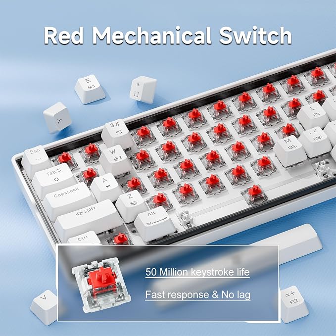 KEMOVE K61SE Gaming Mechanical Keyboard, 60 Percent Wired RGB Backlit N-Key Rollover Compact Mini 61 Keys Keyboard for PC Laptop, Red Switch