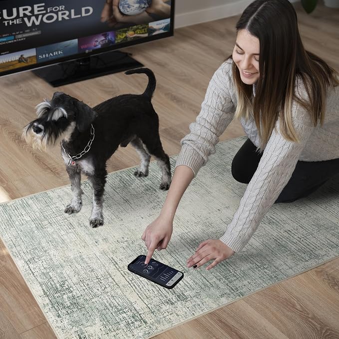2x6 Hallway Washable Runner Rug - Non-Slip Kitchen Rugs with Rubber Backing Abstract Neutral Low-Pile Carpet Runners for Laundry Room Home Decor Bedroom Bathroom Entryway (Green,2x6)