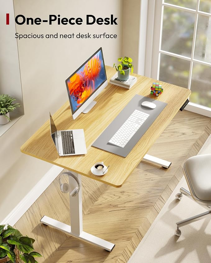 SANODESK One-Piece Electric Standing Desk, Seamless 48 x 30'' Ergonomic Height Adjustable Sit Stand Desk with Memory Presets for Home Office Computer Workstation, White Frame/Natural Top